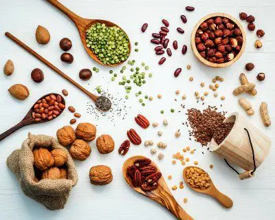 alimentos vegetais proteicos