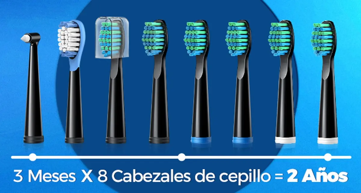 os acessórios da escova Demita